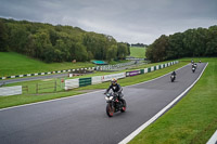 Lower Group Black Bikes